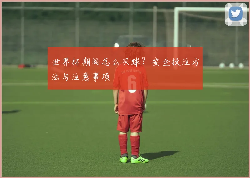 世界杯期间怎么买球？安全投注方法与注意事项
