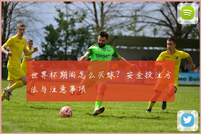 世界杯期间怎么买球？安全投注方法与注意事项