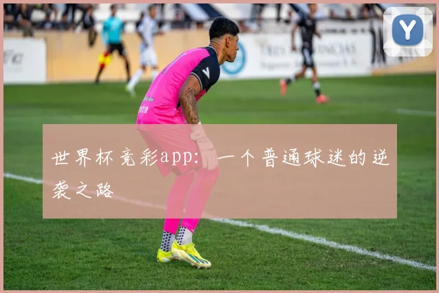 世界杯竞彩app：一个普通球迷的逆袭之路