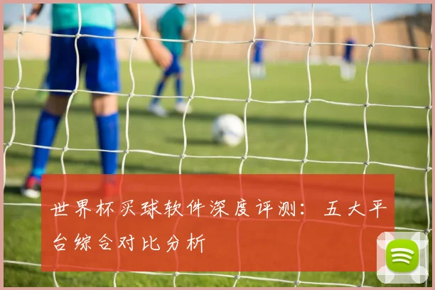 世界杯买球软件深度评测：五大平台综合对比分析