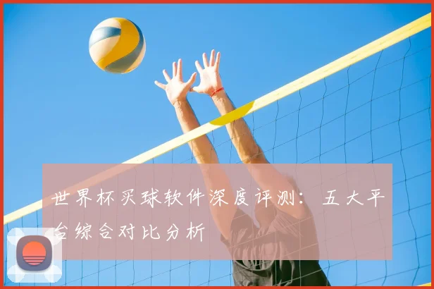 世界杯买球软件深度评测：五大平台综合对比分析
