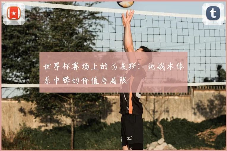 世界杯赛场上的戈麦斯：论战术体系中锋的价值与局限