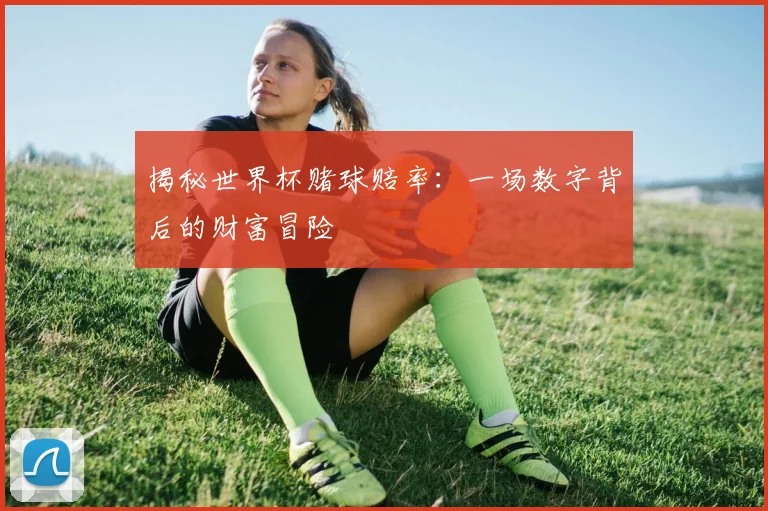 揭秘世界杯赌球赔率：一场数字背后的财富冒险