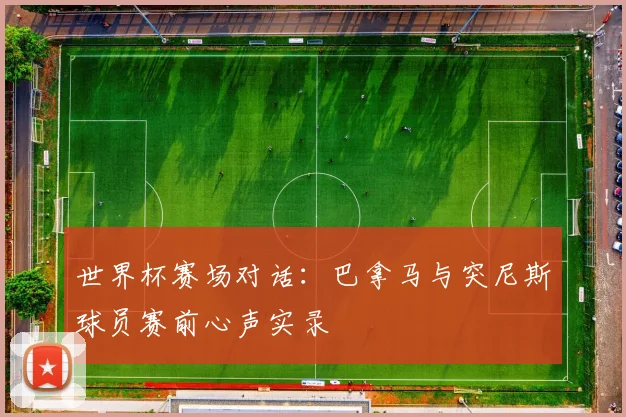 世界杯赛场对话：巴拿马与突尼斯球员赛前心声实录