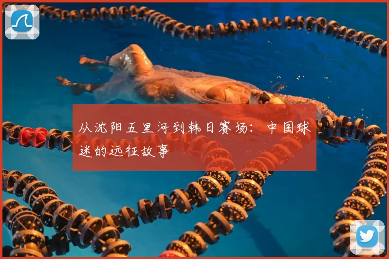 从沈阳五里河到韩日赛场:中国球迷的远征故事