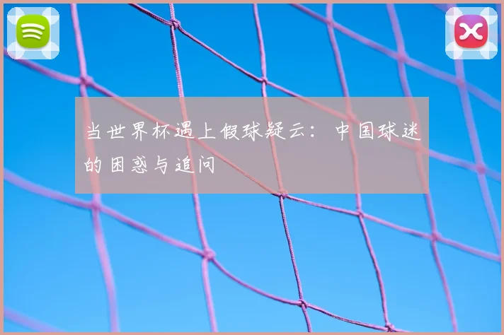 当世界杯遇上假球疑云：中国球迷的困惑与追问