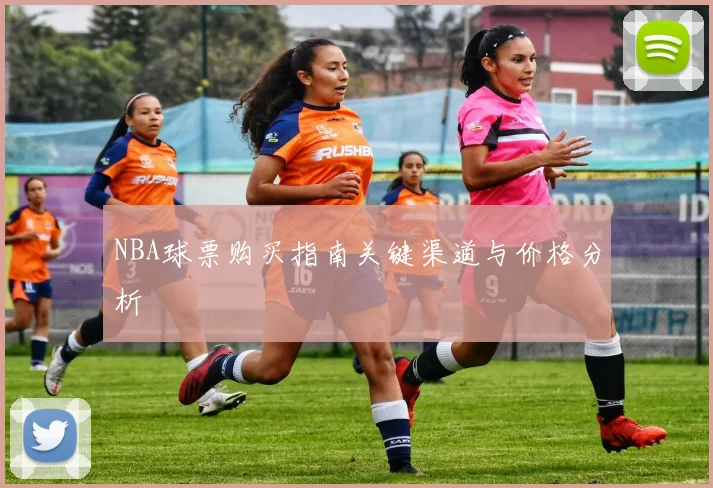 NBA球票购买指南关键渠道与价格分析