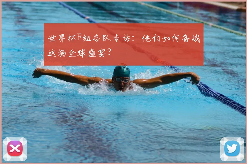 世界杯F组各队专访：他们如何备战这场全球盛宴？