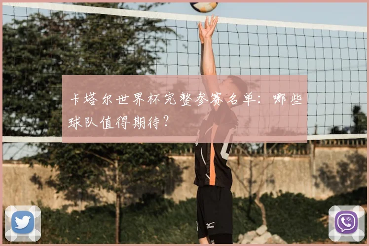 卡塔尔世界杯完整参赛名单：哪些球队值得期待？