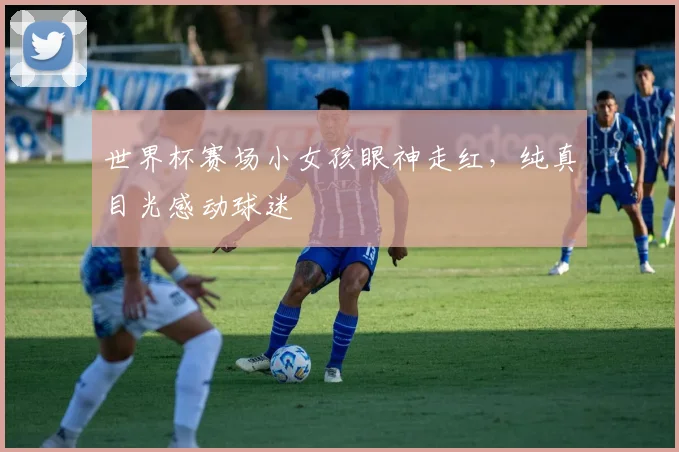世界杯赛场小女孩眼神走红，纯真目光感动球迷