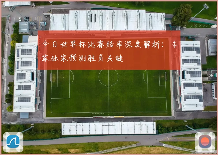 今日世界杯比赛赔率深度解析：专家独家预测胜负关键