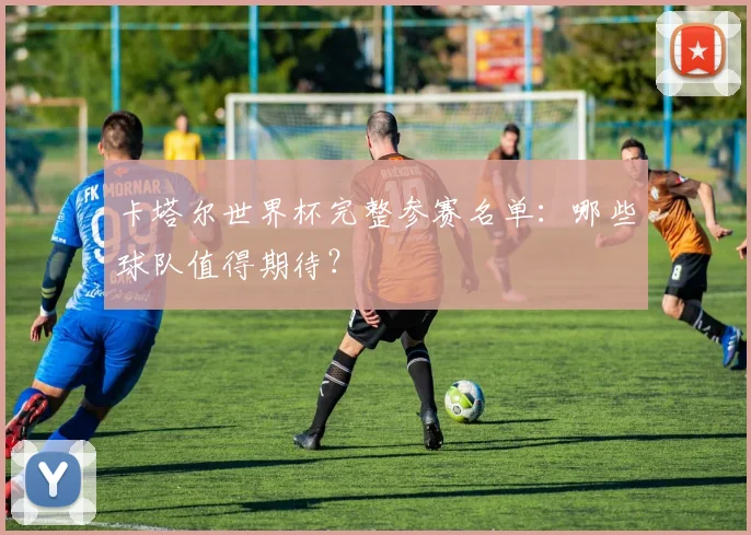 卡塔尔世界杯完整参赛名单：哪些球队值得期待？