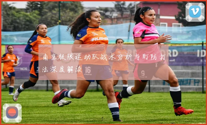 南京极限运动队战术分析与盯防打法深度解读