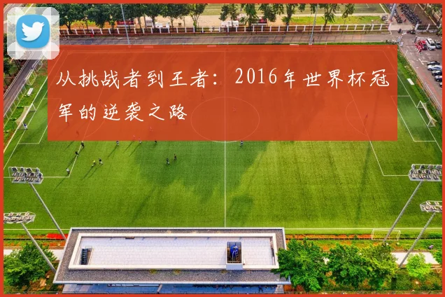从挑战者到王者：2016年世界杯冠军的逆袭之路
