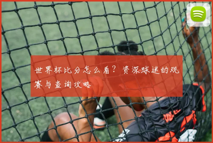 世界杯比分怎么看？资深球迷的观赛与查询攻略