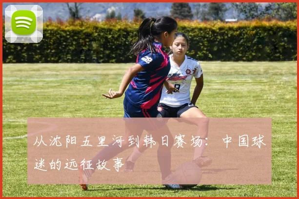 从沈阳五里河到韩日赛场：中国球迷的远征故事