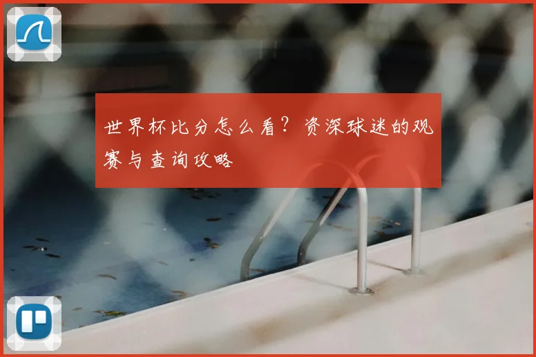 世界杯比分怎么看？资深球迷的观赛与查询攻略